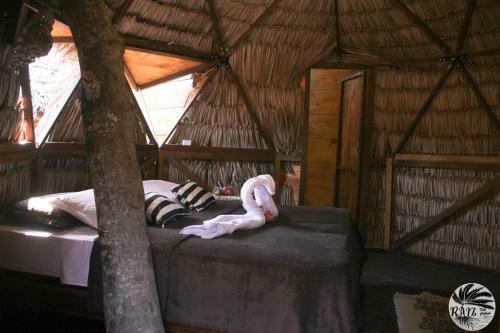 Hotel Raiz Kite Cabana