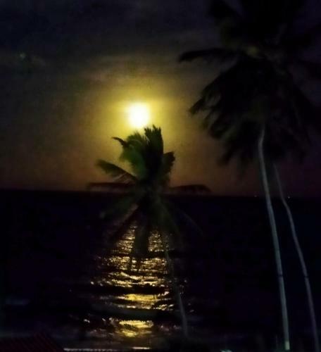Cabanas Cara�bas