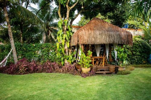 Bed & Breakfast Barra Su�tes
