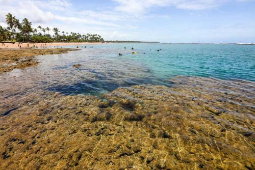 Flat Conchas E Corais - Village Para�so