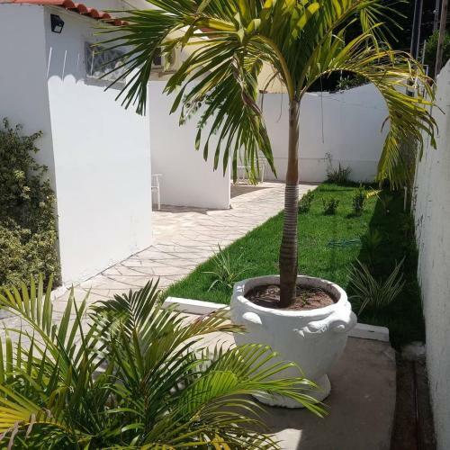 Hostal House Jardim Tropical