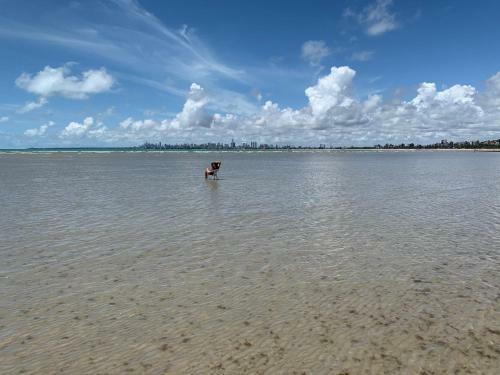 Ponta De Campina Beach Apartment