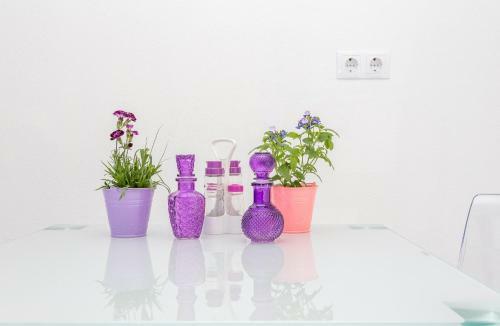 Apartments Gabelic