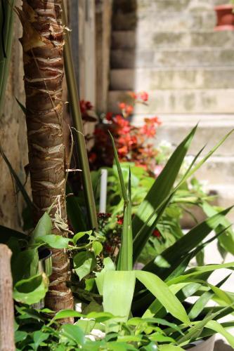Street Garden Apartment