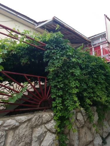 Hostal Goran's Place