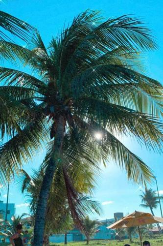 Apartamento P� Na Areia Do Bessa