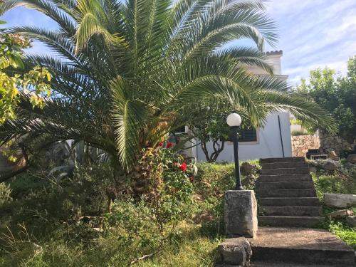 Apartamento Appartement Mila