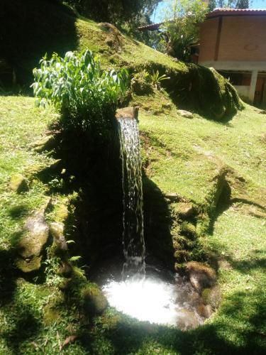 Apartamento Chale Truta Da Floresta 2