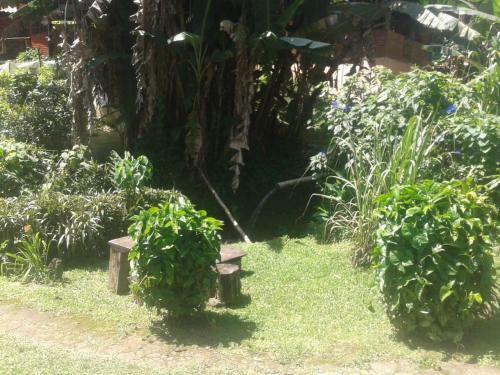 S�tio Quinh�o Genciana