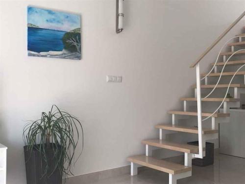 Apartments In Hvar/insel Hvar 33535