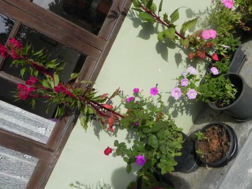 Hostal Pousada Solar Das Flores