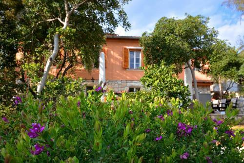 Villa For