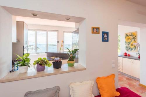 Apartment Jelka- Center Of Hvar Town