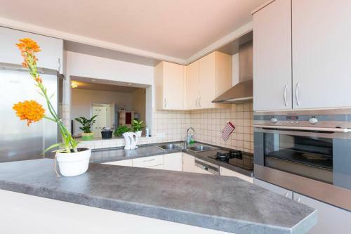 Apartment Jelka- Center Of Hvar Town