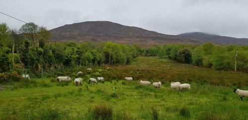 Mountain View Bed & Breakfast, Kenmare, Co. Kerry, Ireland