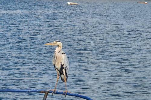Shallow Sea Point