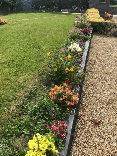 Apartamentos Cozy Countryside Log Cabin