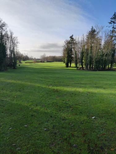 346 The Lodges Ballykisteen