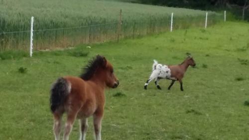 Bed & Breakfast Aux Greniers � R�ves