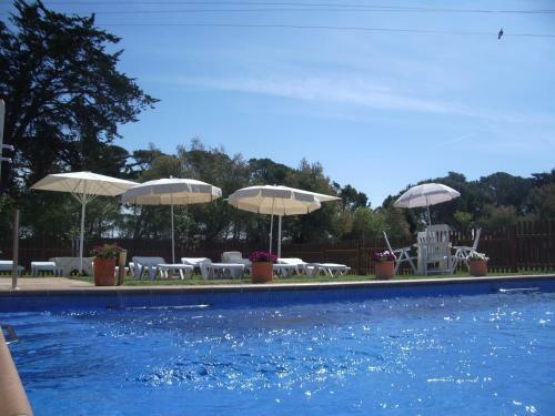 Apartamento Studios Coll