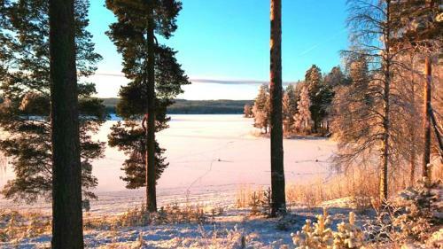 Albergue Furudals Vandrarhem Och Camping