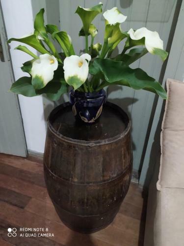 Apartamento Pousada S�o Matheus