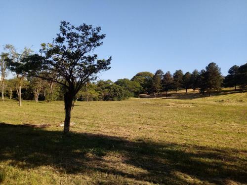 Apartamento Pr�ximo A Feevale Com Vista Para O Campo