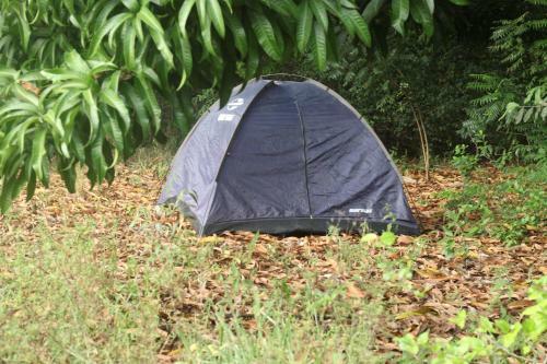 Terra Joulle Centre Lagoa Bomfim