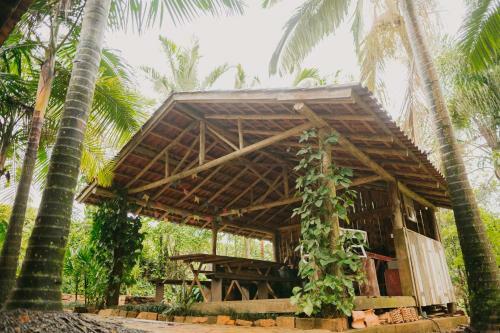 Casa De S�tio Taipa