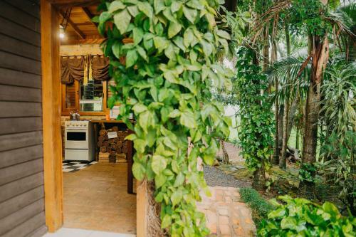 Casa De S�tio Taipa