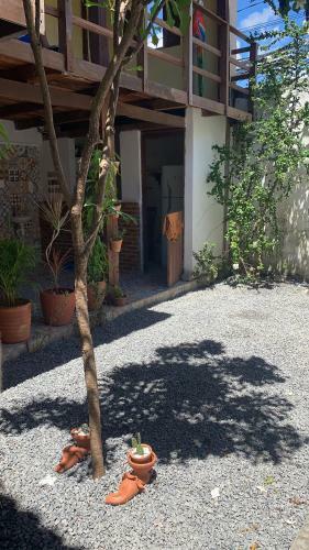 Hostel Pousada Guadalupe