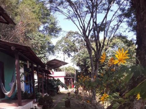 Hostal Terrazzo Italia