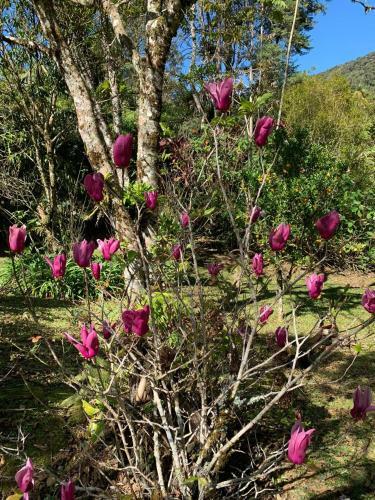 S�tio Bosque Magico