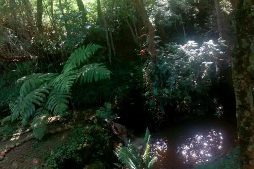 Chal� No Bosque E Cachoeirinha, Centro De Passa Quatro