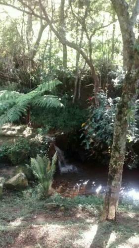 Chal� No Bosque E Cachoeirinha, Centro De Passa Quatro
