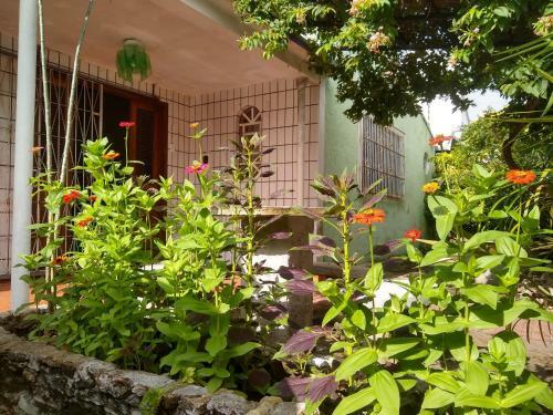 Art Hostel Parnaiba