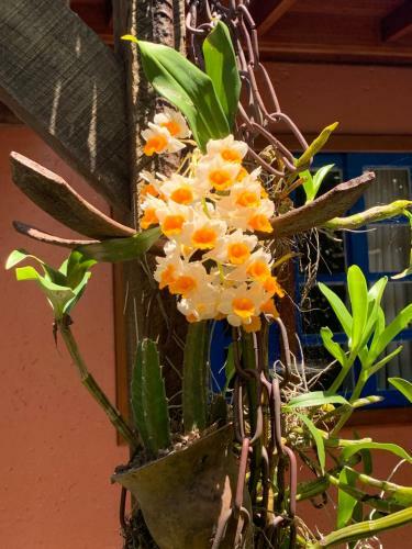 Cabana Colorida
