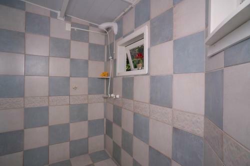 Hostal Ilha Do Papagaio Adventures