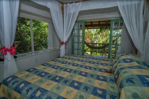 Hostal Ilha Do Papagaio Adventures