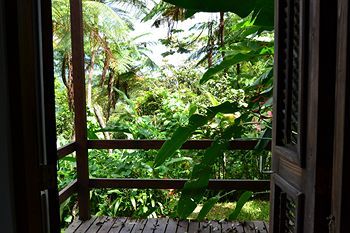 El Hotelito At The Rainforest Experience Farm