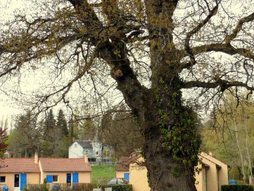 Camping Des Bains