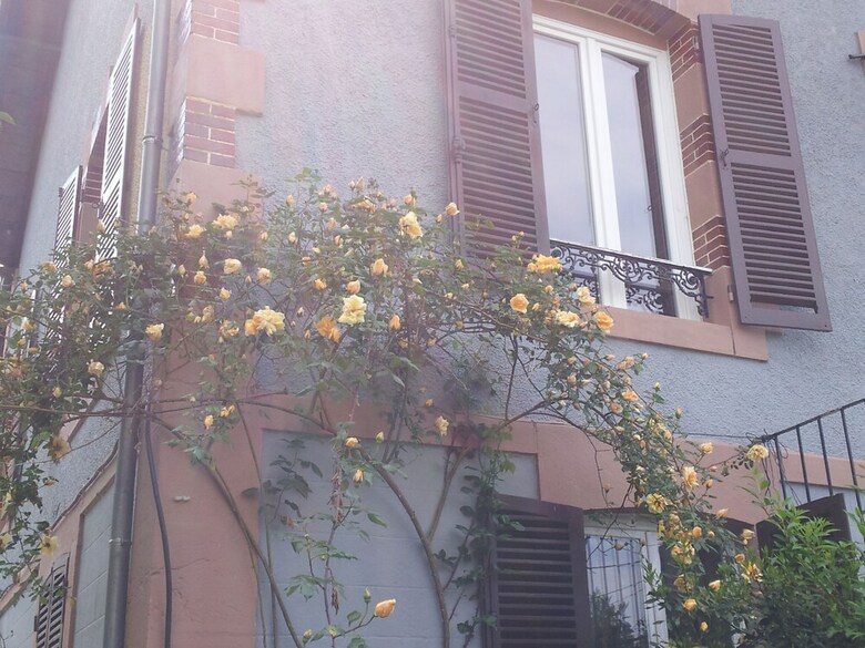 Apartamento Les Buissonnets