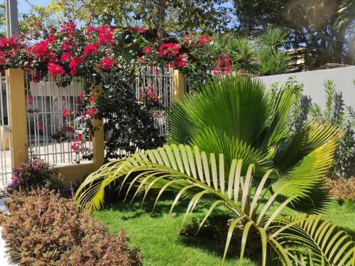 Hostal Pousada Flor Do Arraial