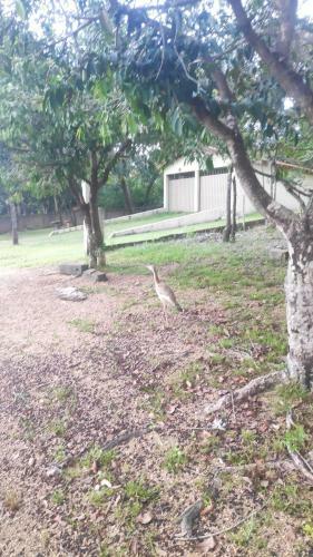 Rancho Cintra