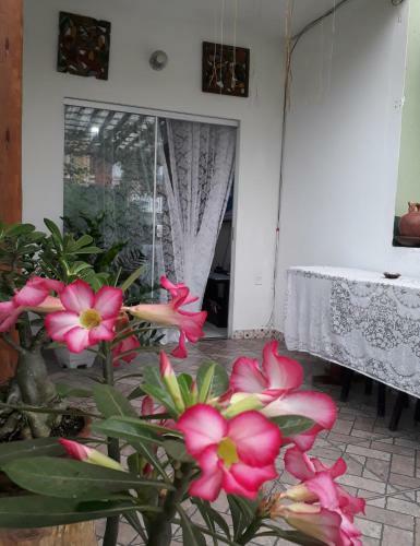 Apartamento Apto Da Cida