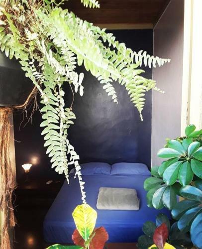 Hostal Frida Casa Y Hostel