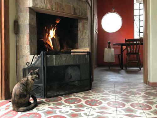 Hostal Frida Casa Y Hostel