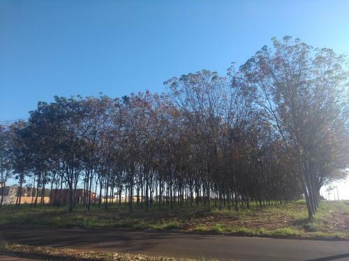 Hostal V� Pedrinho