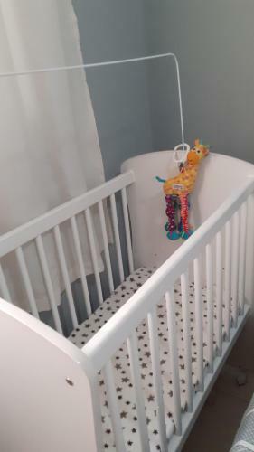 Apartamento Ap. Rocha