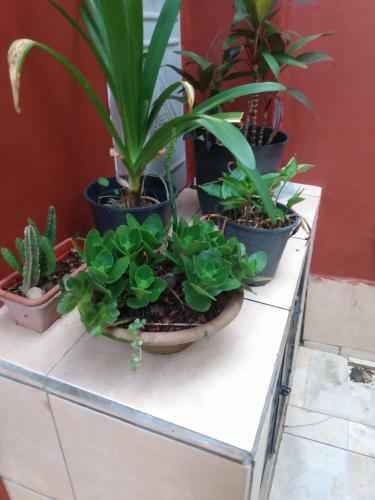 Hospedaria Namast�